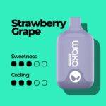 Waka Smash 6000 Puffs 21 Flavors - Strawberry Grape Image